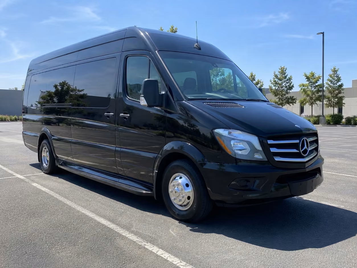 14 passenger sprinter limousine