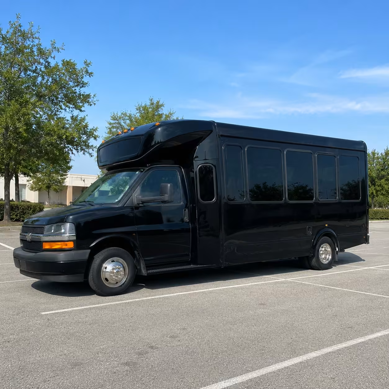 25 passenger party bus